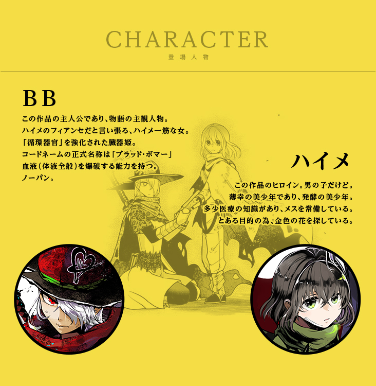 ハイメBB